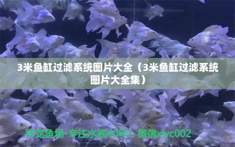 3米魚缸過濾系統(tǒng)圖片大全（3米魚缸過濾系統(tǒng)圖片大全集）