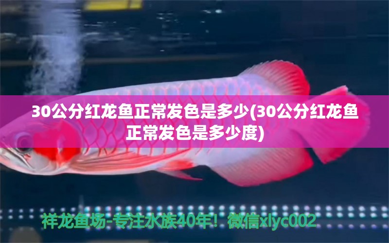 30公分紅龍魚正常發(fā)色是多少(30公分紅龍魚正常發(fā)色是多少度) 稀有紅龍品種