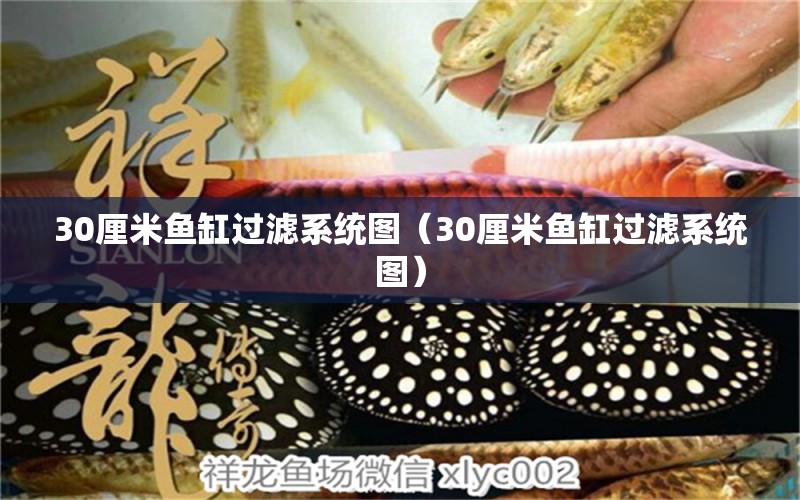 30厘米魚缸過濾系統(tǒng)圖（30厘米魚缸過濾系統(tǒng)圖）