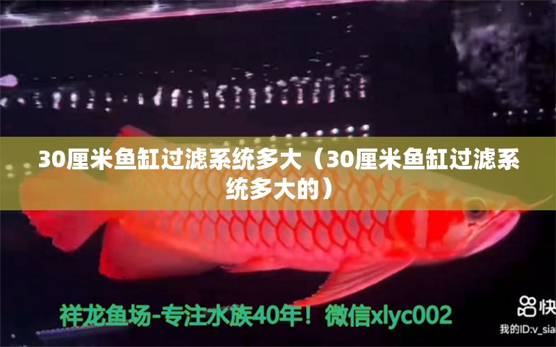 30厘米魚缸過濾系統(tǒng)多大（30厘米魚缸過濾系統(tǒng)多大的）