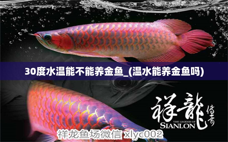 30度水溫能不能養(yǎng)金魚_(溫水能養(yǎng)金魚嗎) 印尼四紋虎