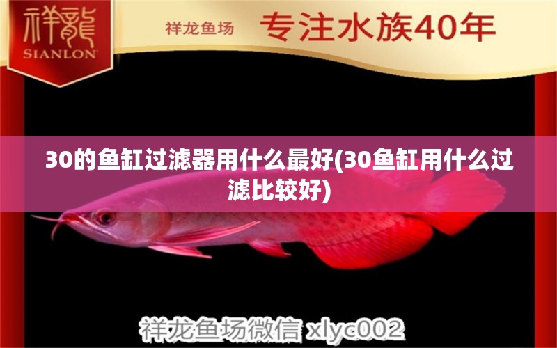 30的魚缸過濾器用什么最好(30魚缸用什么過濾比較好) 賽級紅龍魚