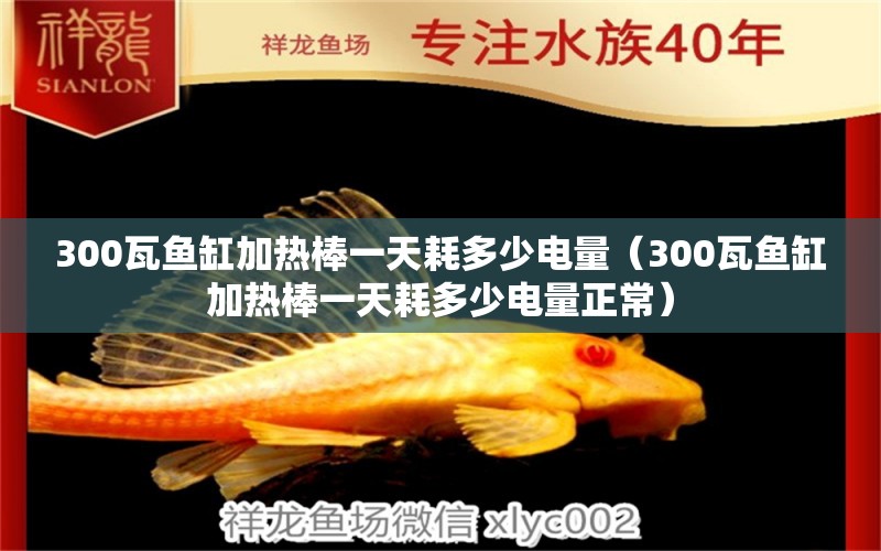 300瓦魚缸加熱棒一天耗多少電量（300瓦魚缸加熱棒一天耗多少電量正常）