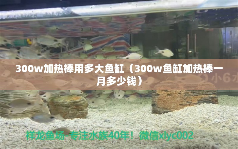 300w加熱棒用多大魚(yú)缸（300w魚(yú)缸加熱棒一月多少錢） 魚(yú)缸百科