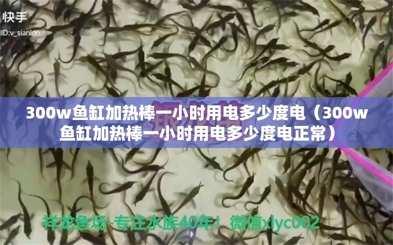 300w魚缸加熱棒一小時用電多少度電（300w魚缸加熱棒一小時用電多少度電正常） 魚缸百科