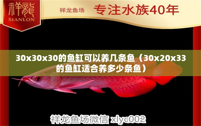 30x30x30的魚缸可以養(yǎng)幾條魚（30x20x33的魚缸適合養(yǎng)多少條魚）