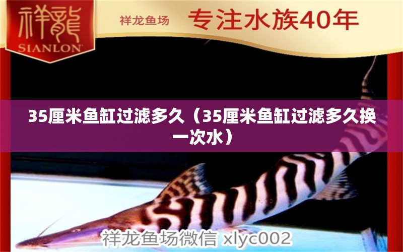 35厘米魚缸過濾多久（35厘米魚缸過濾多久換一次水）