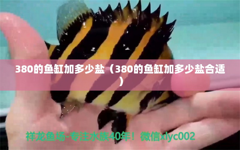 380的魚缸加多少鹽（380的魚缸加多少鹽合適） 其他品牌魚缸