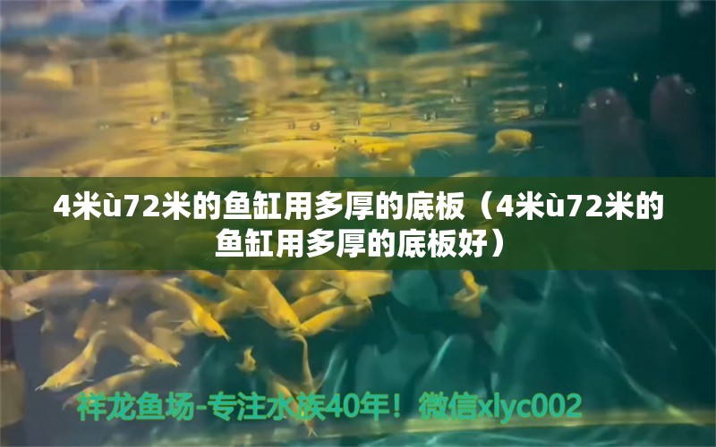 4米ù72米的魚缸用多厚的底板（4米ù72米的魚缸用多厚的底板好）