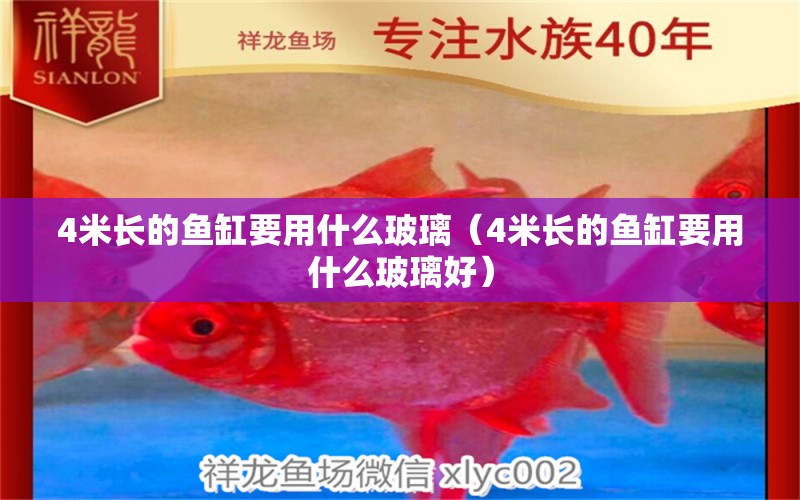 4米長的魚缸要用什么玻璃（4米長的魚缸要用什么玻璃好）