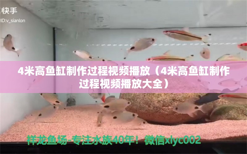 4米高魚缸制作過程視頻播放（4米高魚缸制作過程視頻播放大全）