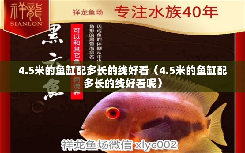 4.5米的魚缸配多長的線好看（4.5米的魚缸配多長的線好看呢）