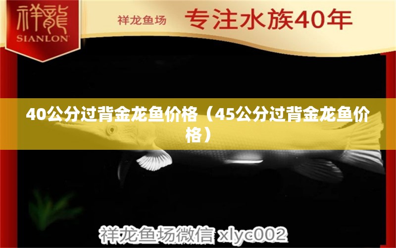 40公分過背金龍魚價格（45公分過背金龍魚價格）