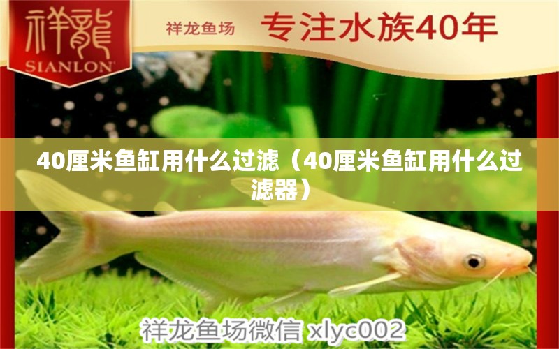 40厘米魚(yú)缸用什么過(guò)濾（40厘米魚(yú)缸用什么過(guò)濾器） 銀河星鉆魚(yú)