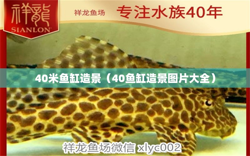 40米魚缸造景（40魚缸造景圖片大全）