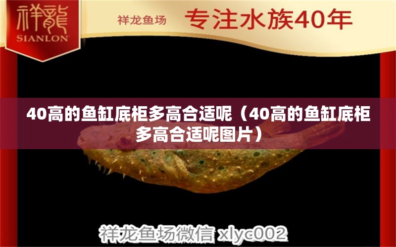 40高的魚缸底柜多高合適呢（40高的魚缸底柜多高合適呢圖片）