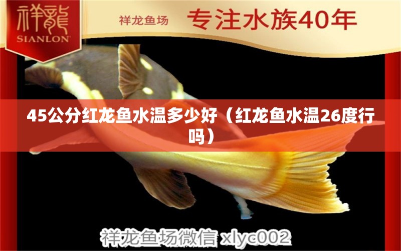 45公分紅龍魚水溫多少好（紅龍魚水溫26度行嗎）