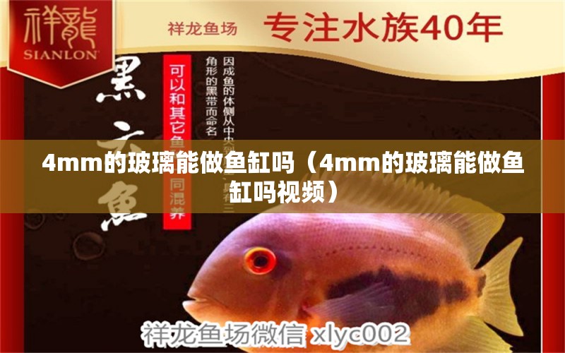 4mm的玻璃能做魚缸嗎（4mm的玻璃能做魚缸嗎視頻）