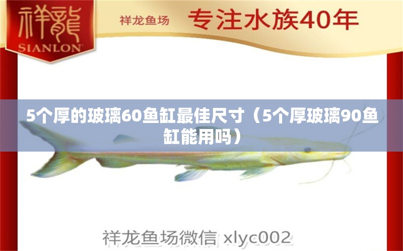 5個(gè)厚的玻璃60魚缸最佳尺寸（5個(gè)厚玻璃90魚缸能用嗎） 其他品牌魚缸