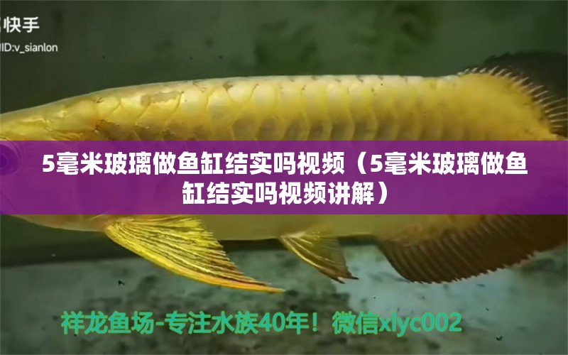 5毫米玻璃做魚缸結(jié)實嗎視頻（5毫米玻璃做魚缸結(jié)實嗎視頻講解）