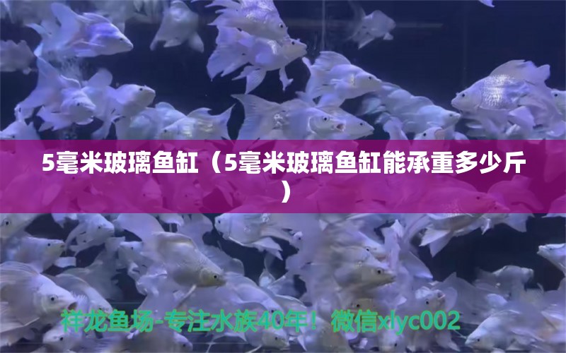 5毫米玻璃魚缸（5毫米玻璃魚缸能承重多少斤）