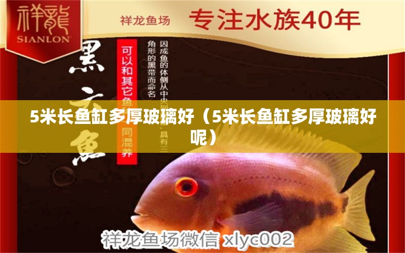 5米長魚缸多厚玻璃好（5米長魚缸多厚玻璃好呢）