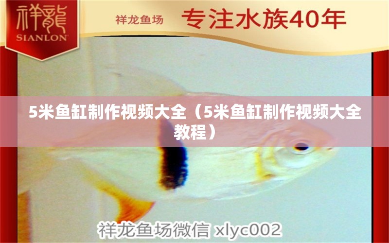 5米魚(yú)缸制作視頻大全（5米魚(yú)缸制作視頻大全教程）