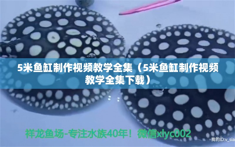 5米魚(yú)缸制作視頻教學(xué)全集（5米魚(yú)缸制作視頻教學(xué)全集下載）