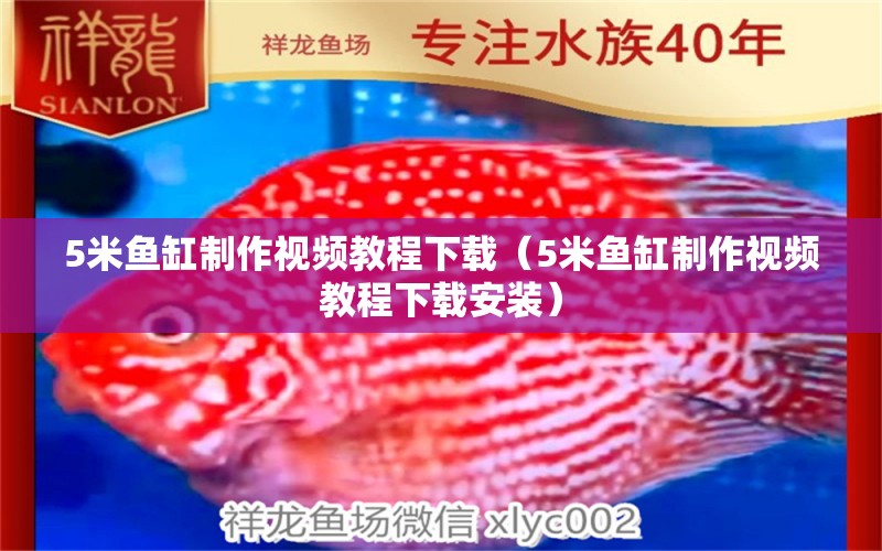 5米魚(yú)缸制作視頻教程下載（5米魚(yú)缸制作視頻教程下載安裝） 其他品牌魚(yú)缸