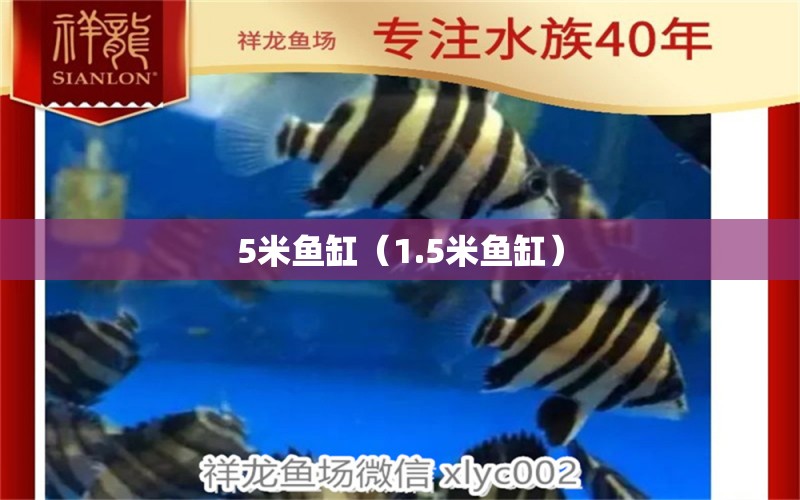 5米魚缸（1.5米魚缸）