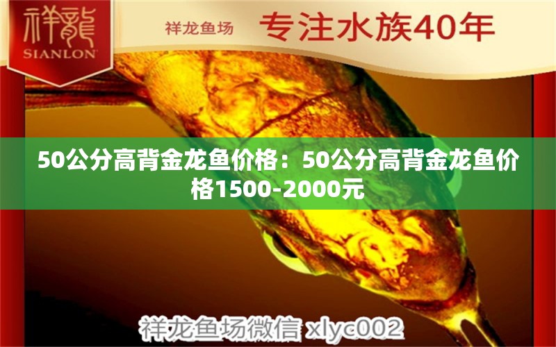 50公分高背金龍魚價(jià)格：50公分高背金龍魚價(jià)格1500-2000元 龍魚百科 第1張