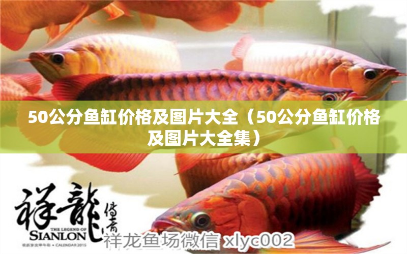 50公分魚缸價格及圖片大全（50公分魚缸價格及圖片大全集）