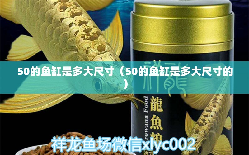 50的魚缸是多大尺寸（50的魚缸是多大尺寸的）