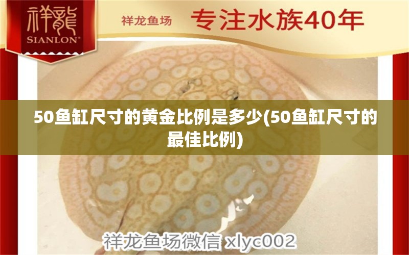 50魚缸尺寸的黃金比例是多少(50魚缸尺寸的最佳比例)