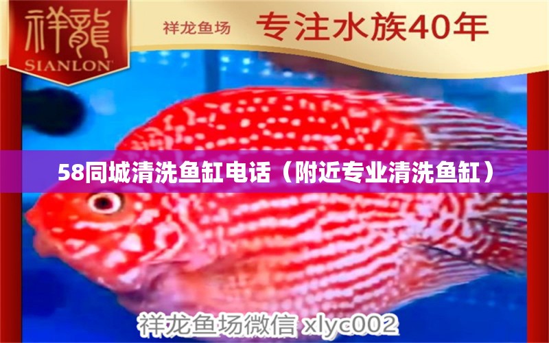 58同城清洗魚缸電話（附近專業(yè)清洗魚缸）