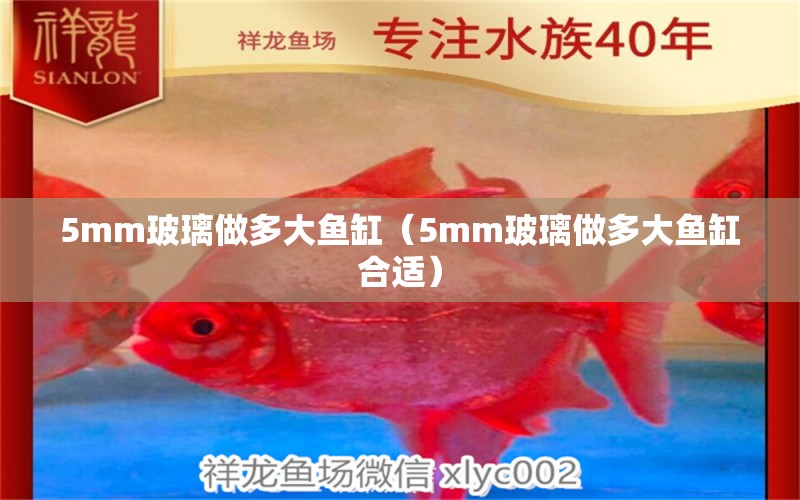 5mm玻璃做多大魚缸（5mm玻璃做多大魚缸合適） 其他品牌魚缸