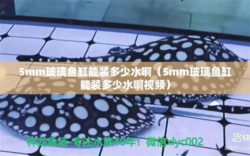 5mm玻璃魚缸能裝多少水?。?mm玻璃魚缸能裝多少水啊視頻）