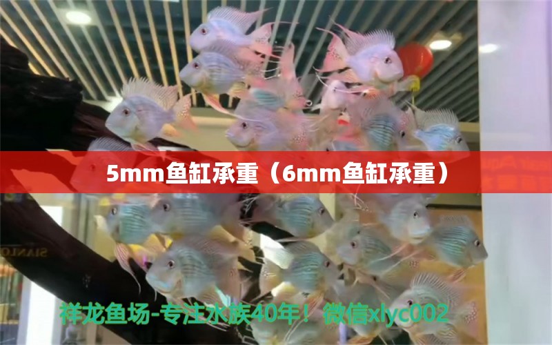 5mm魚缸承重（6mm魚缸承重）