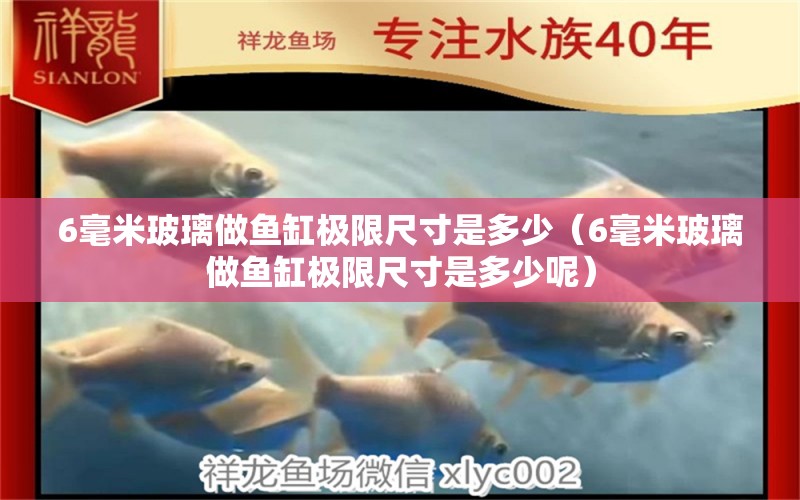 6毫米玻璃做魚缸極限尺寸是多少（6毫米玻璃做魚缸極限尺寸是多少呢） 魚缸百科