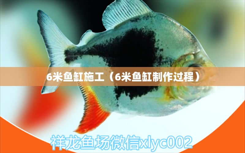 6米魚缸施工（6米魚缸制作過程）