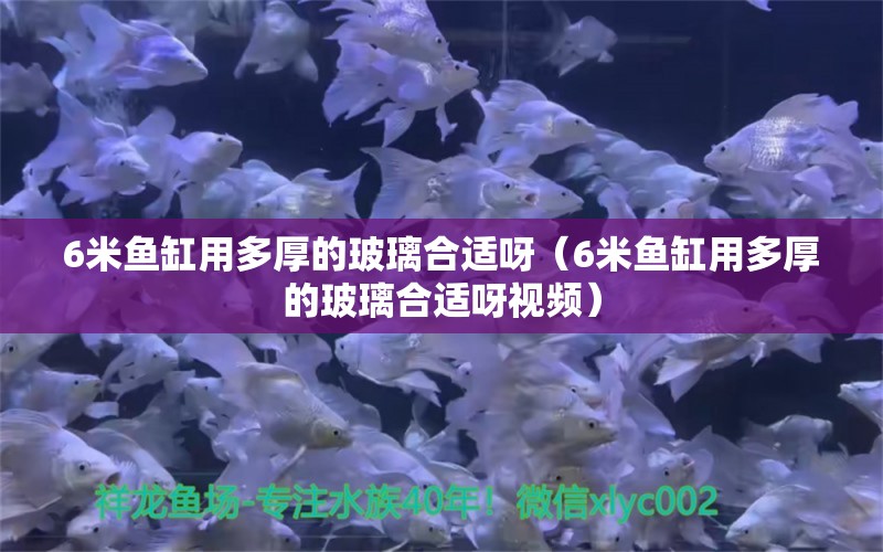 6米魚缸用多厚的玻璃合適呀（6米魚缸用多厚的玻璃合適呀視頻）