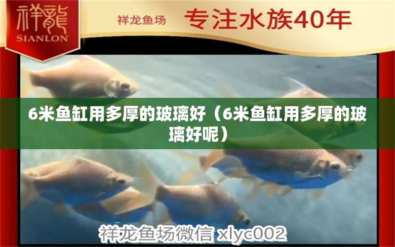 6米魚缸用多厚的玻璃好（6米魚缸用多厚的玻璃好呢）