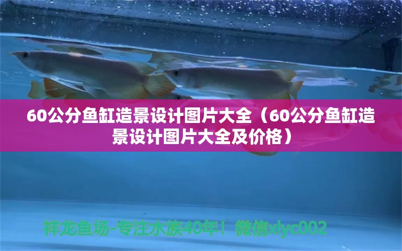 60公分魚缸造景設計圖片大全（60公分魚缸造景設計圖片大全及價格） 量子養(yǎng)魚技術