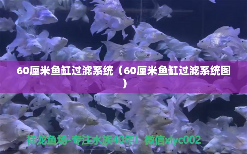 60厘米魚缸過濾系統(tǒng)（60厘米魚缸過濾系統(tǒng)圖）