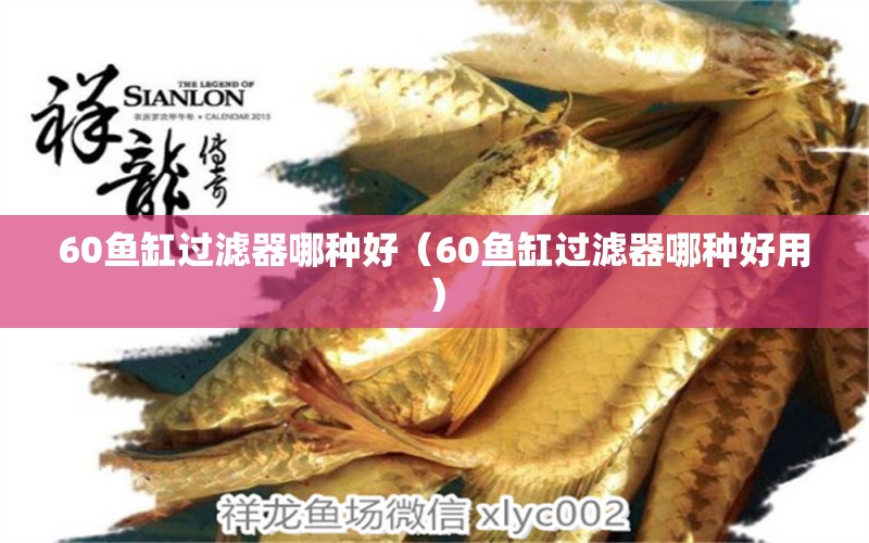 60魚缸過濾器哪種好（60魚缸過濾器哪種好用）