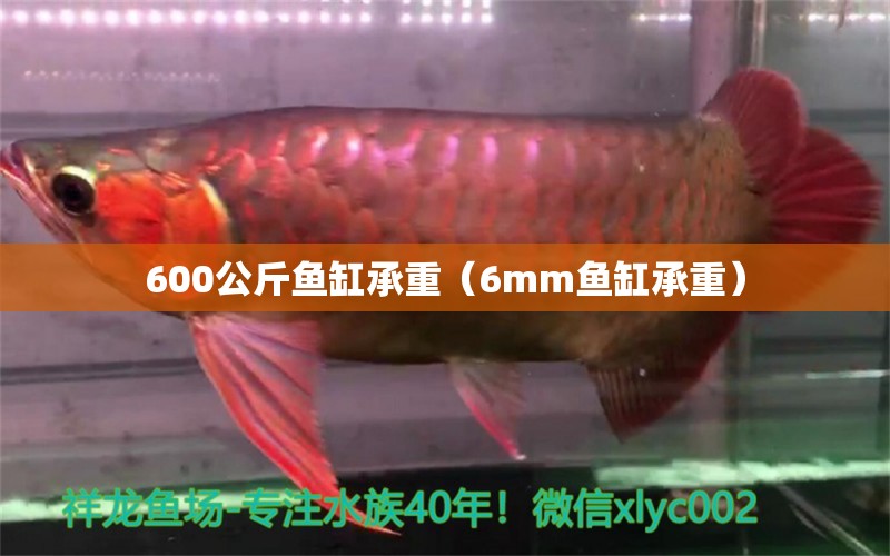 600公斤魚缸承重（6mm魚缸承重）