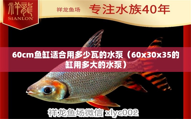 60cm魚缸適合用多少瓦的水泵（60x30x35的缸用多大的水泵）