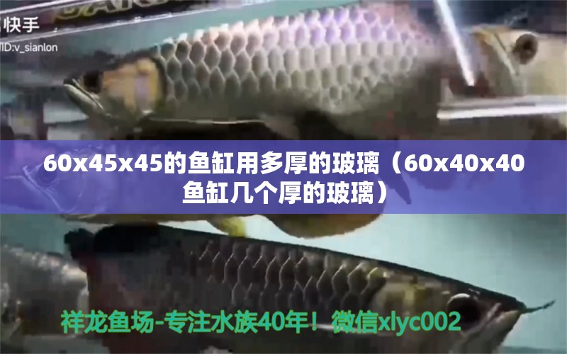 60x45x45的魚缸用多厚的玻璃（60x40x40魚缸幾個(gè)厚的玻璃）