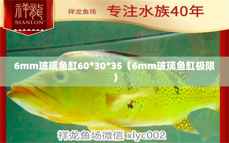 6mm玻璃魚缸60*30*35（6mm玻璃魚缸極限） 魚缸百科