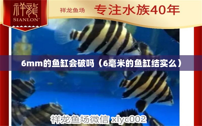 6mm的魚缸會破嗎（6毫米的魚缸結(jié)實么） 魚缸百科